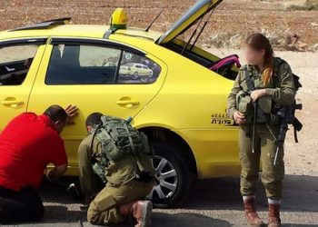 Israeli Security forces seize 140 kg of poultry in taxi at checkpoint