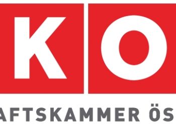 Wiener Wirtschaftskammer fordert Novellierung des Gelegenheitsverkehrsgesetzes