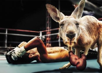 Uber: Manipulieren bis zum K.O. des Rechtstaats