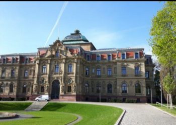 Köln OLG’nin kararı nihaidir: BGH Free Now’a revizyon hakkı vermiyor