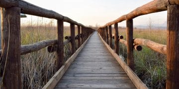 Happy-Hour im Taxi: Der wirtschaftsliberale Holzweg