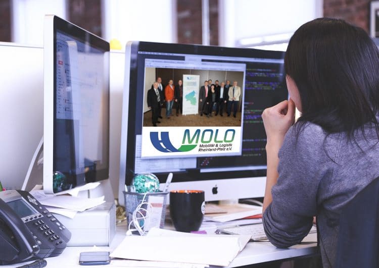 Leitfaden wird per Video-Call lebendig