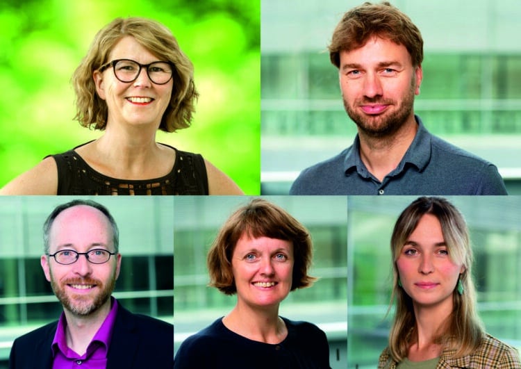 Grüne im Bundestag stellen Verkehrspolitiker vor