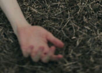 Wendung im Salzburger Fall von fahrlässiger Tötung durch Taxilenker