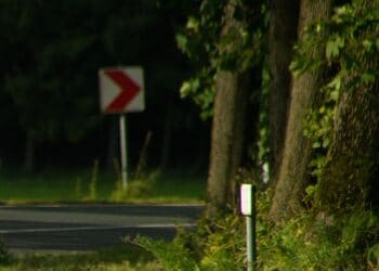 Sturm kostet Taxifahrer aus Münster das Leben