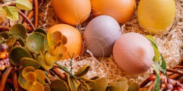 Frohe Ostern! Ein Nest bunter Meldungen