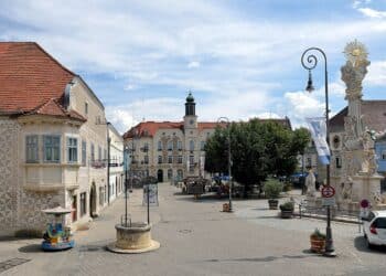 Taxifahrten für Senioren und Gebrechliche auf SPÖ-Kosten