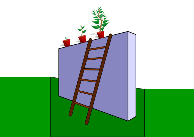 Weniger Blockade – mehr Wachstum