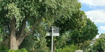 Taxi auf dem Land zwischen Betriebspflicht, Fahrermangel und Konzessionsstopp