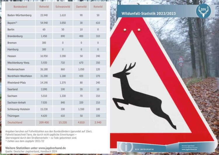 Teure Teilkasko: Wo viel Wald ist, ist sie trotzdem sinnvoll