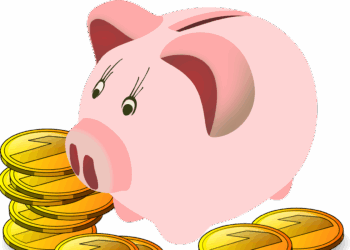 Sparschwein Krankenkassen