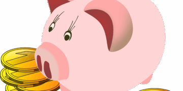 Sparschwein Krankenkassen