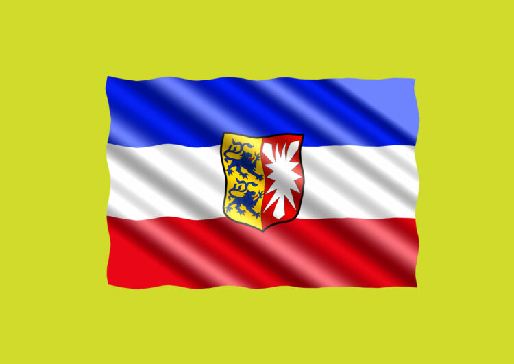 Auch in Schleswig-Holstein wird es für das Taxi immer enger