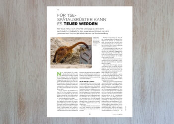 Strafen für TSE-Spätstarter