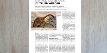 Strafen für TSE-Spätstarter