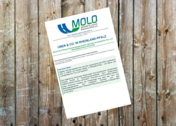 MOLO: Anleitung zur Prüfung von Mietwagenkonzessionen