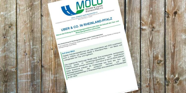 MOLO: Anleitung zur Prüfung von Mietwagenkonzessionen