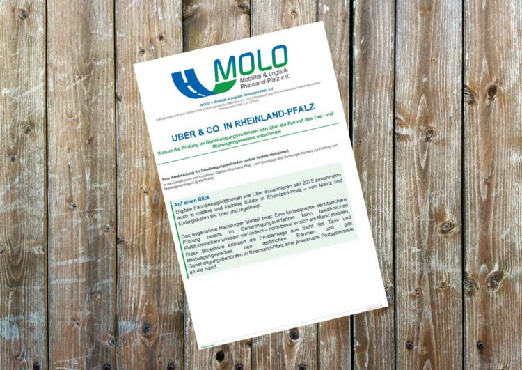 MOLO: Anleitung zur Prüfung von Mietwagenkonzessionen