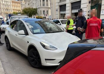 Plattformkontrolle: Gefälschter Taxi-Ausweis und zahlreiche andere Verstöße