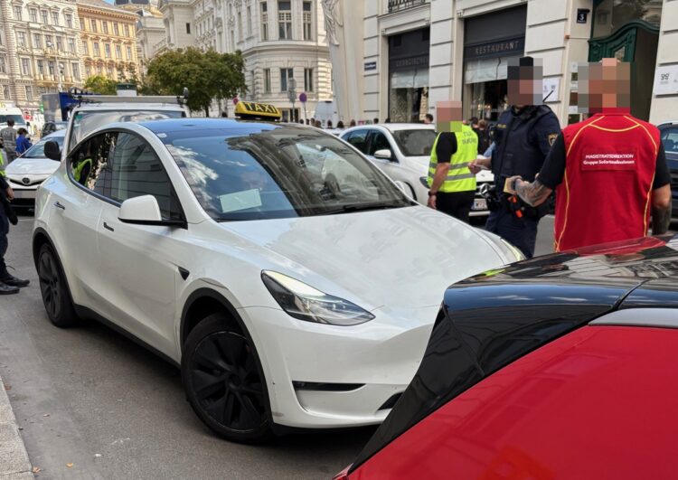 Plattformkontrolle: Gefälschter Taxi-Ausweis und zahlreiche andere Verstöße